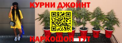 стафф Пугачёв