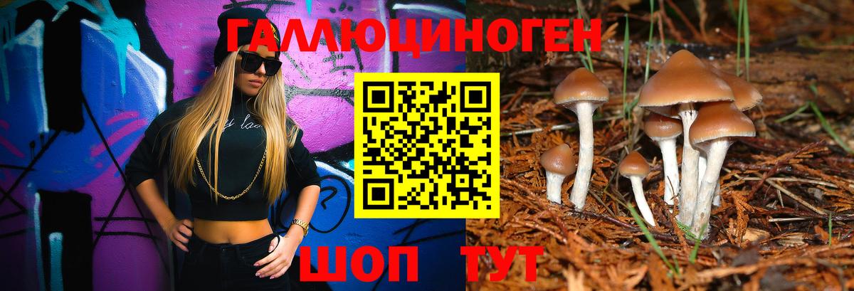 хочу   Вход с VPN  Псилоцибиновые грибы ЛСД  Сорочинск  Псилоцибиновые грибы MAGIC MUSHROOMS 